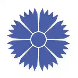 BELAVIA - Belarusian Airlines Profile