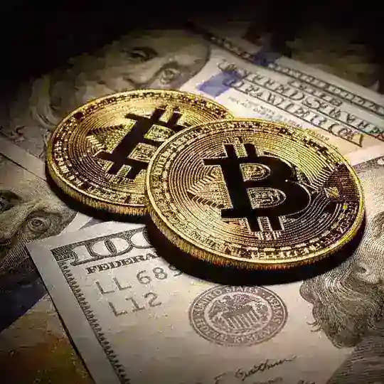 Dave Crypto Signals FREE π€