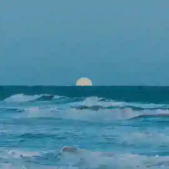 море в груди