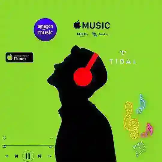 Bhojpuri Lossless Music Profile