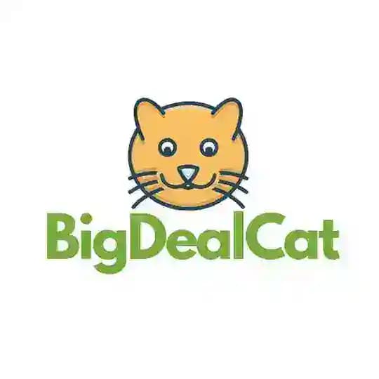 BigDealCat
