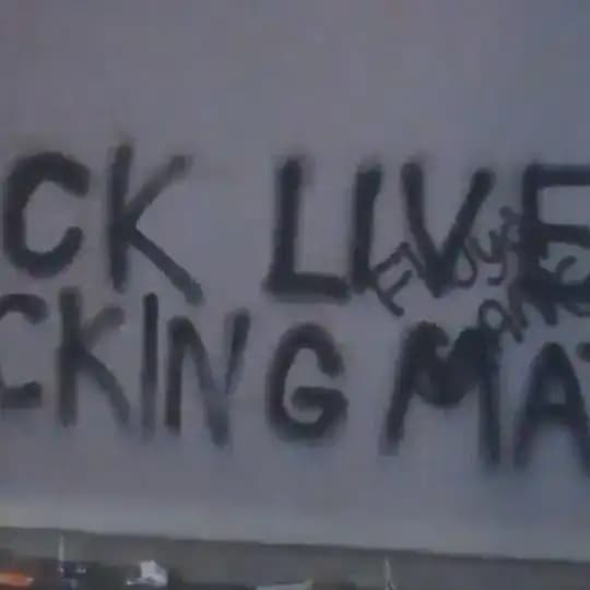 The Black Lives Revolution (BLM)
