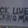 The Black Lives Revolution (BLM)