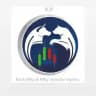 K.P. Bank Nifty & Nifty