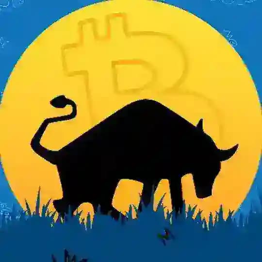 Bulls Unleashed