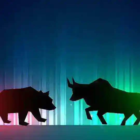 BULL Vs BEAR