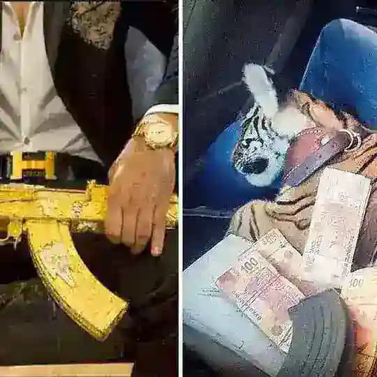 Cheshire Tropical y aventura en Ecuador Profile