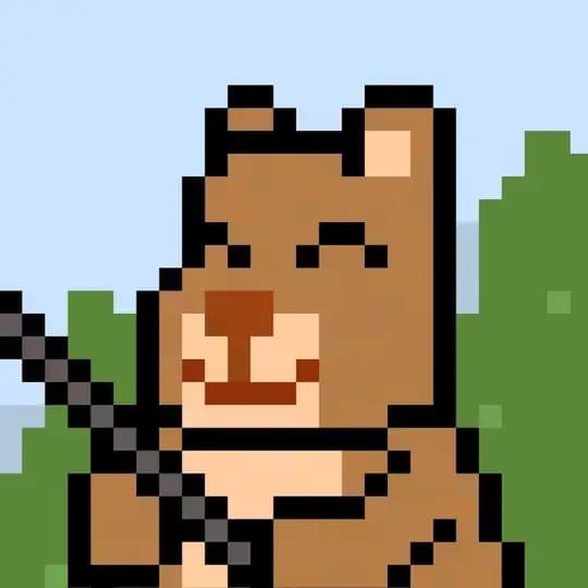 CatchTON Channel ๐งธ Profile