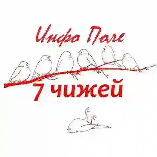 Чижовка Чыжоўка (Семь чижей ИнфоПоле)