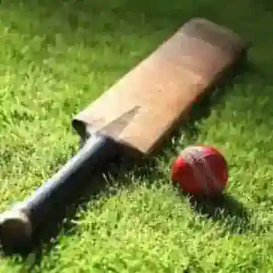 Cricket Betting Tips Only