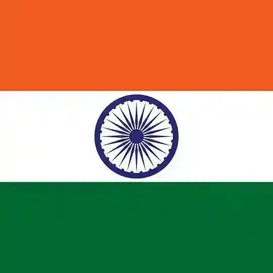 Cricket Team 11 Profile