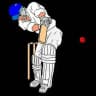 Crickhit