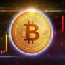 Crypto Pumps Signals