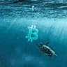 Crypto Sea & Cryptocurrencies «News»