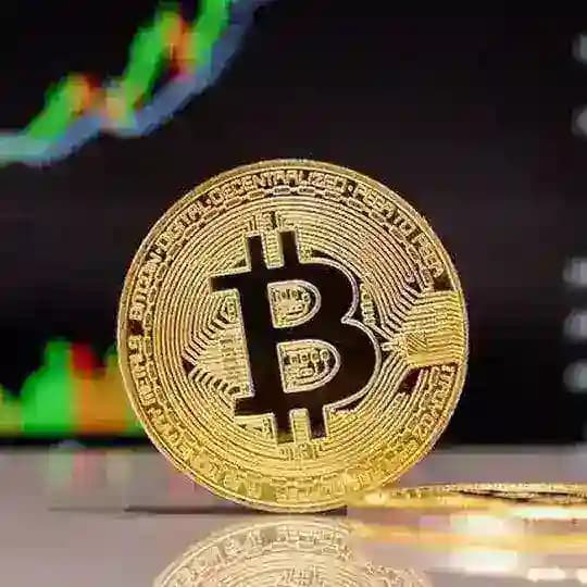 FOREX & BINARY OPTIONS TRADING SIGNALS