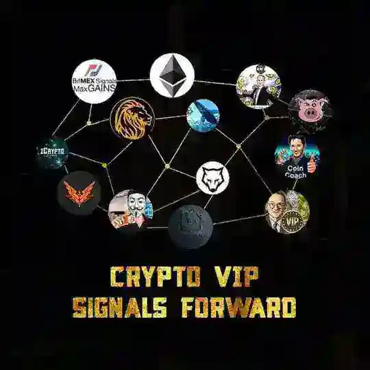 ๐๐ฟ๐๐ฝ๐๐ผ VIP ๐บ๐๐๐๐๐๐ Forward