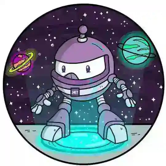 .NET Developer