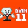 Diam 11