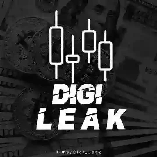 DigiLeak | Crypto Future