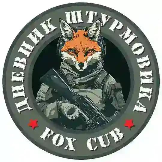 Дневник штурмовика