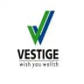 Vestige world🔥