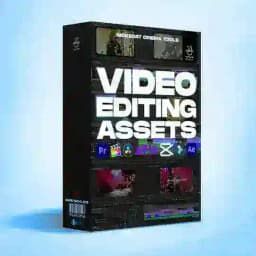 Editing Assets Profile