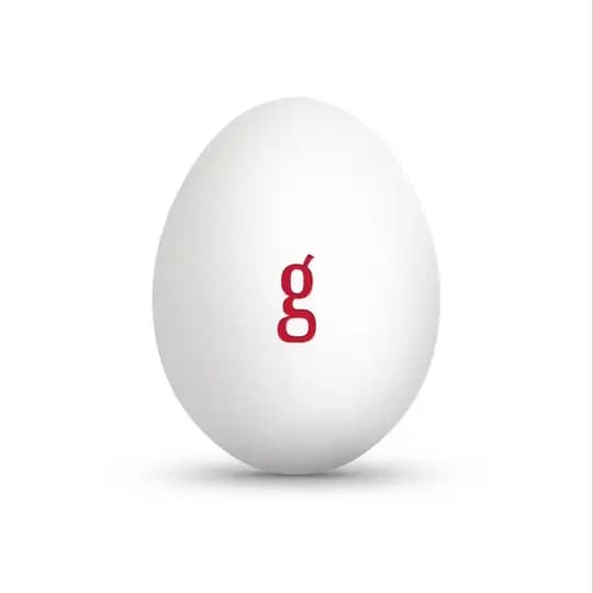 Eggz Gallery