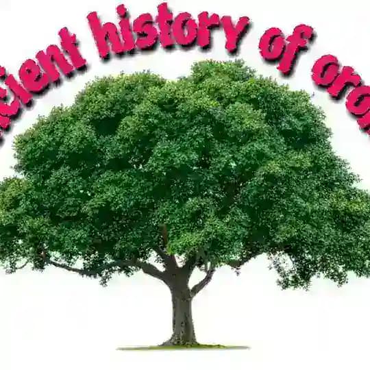 ancient history of oromoo Profile