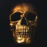 Ethical Hackers Giveaway☠️