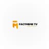 Factmeme Tv