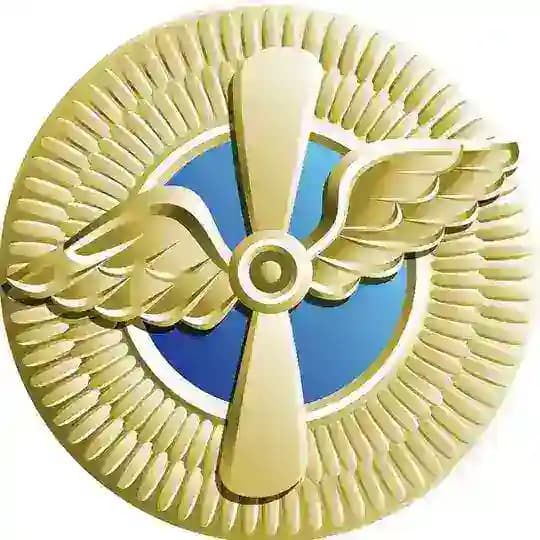 Пилот ГА