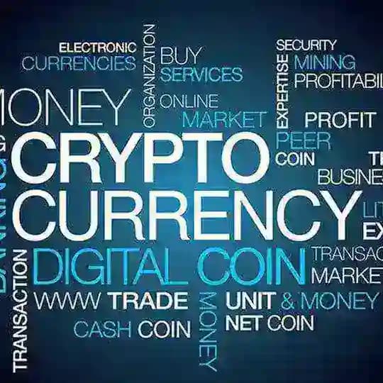 Follow Crypto | News | Economy | Cryptocurrency | NFT