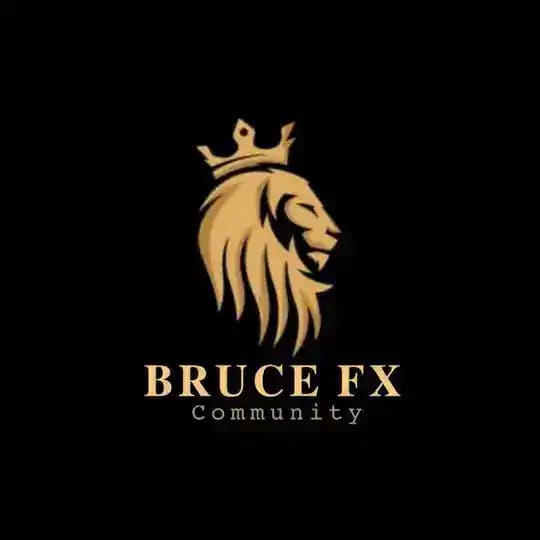 BruceFx - Community