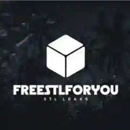 Freestlforyou 🥷 Profile