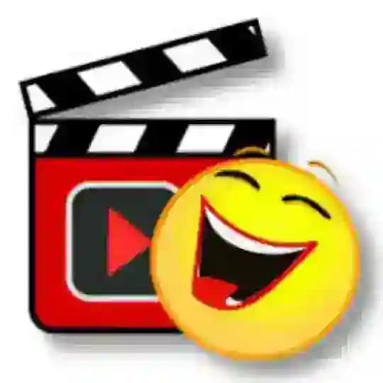 Funny Viral Videos