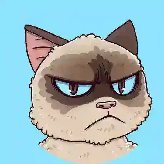 Grumpy Announcements ๐ผ