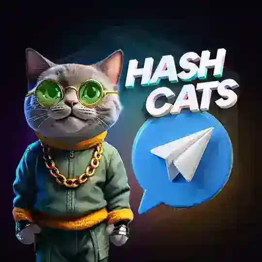 HashCats Official Channel Profile