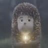 Hedgehog in the fog