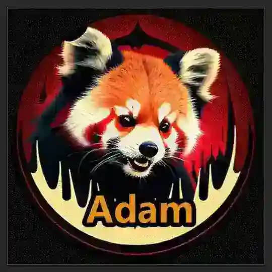 Cnfans finds [ADAM SHOP] #cnfansfind #cnfansfinds