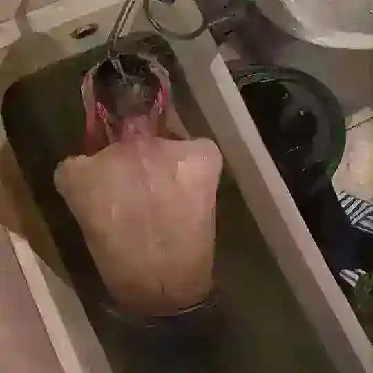 Дом среди Лавров