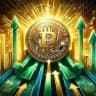 Premium Crypto Signals - Binance - ByBit - OKX - BitGET