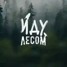 Иду лесом, несу дичь Profile