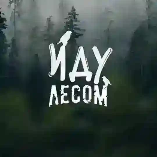 Иду лесом, несу дичь Profile