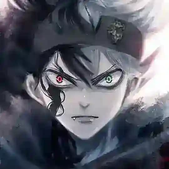 Black clover in hindi dubbed Profile