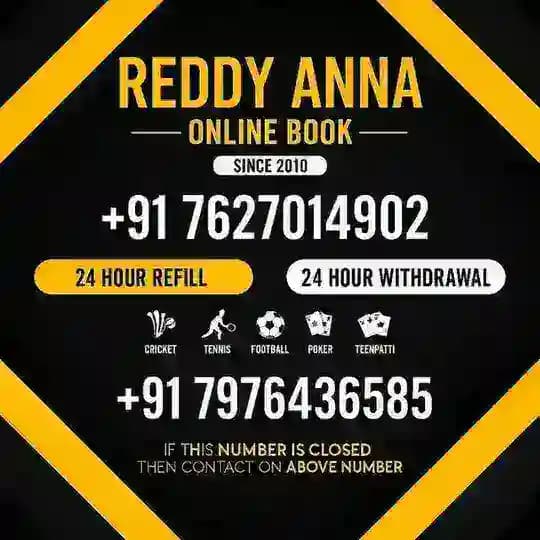 Reddy anna book