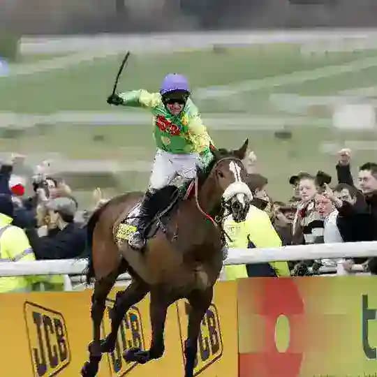 Irish Betting Pro Profile