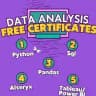 Data Analyst Jobs