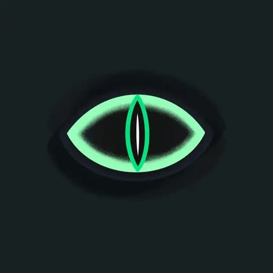 Roko Announcements Profile