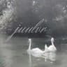 ꒰ა ‎juulvr 🦢₊✧