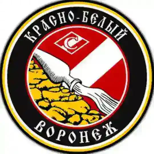 КБ Воронеж Profile